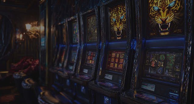 DonBet Casino